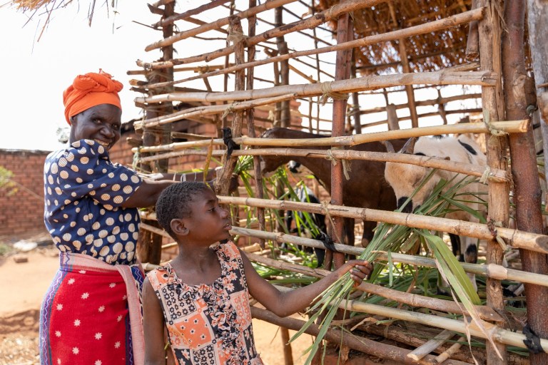 A woman and a child feeding goats in Malawi, through Sightsavers program.