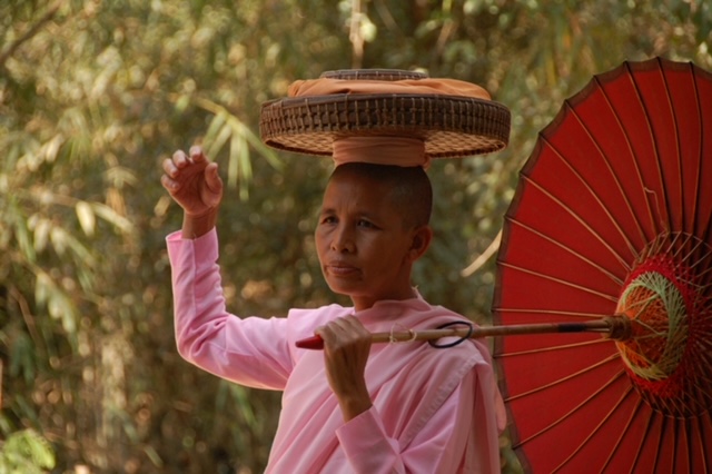 Cover Image: Buddhist Nunneries as Safe Havens in Myanmar