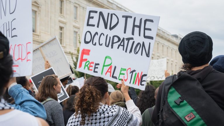 Protestor holding a sign with the words End the Occupation Free Palestine. Cover photo for post on Feminist Solidarity.
